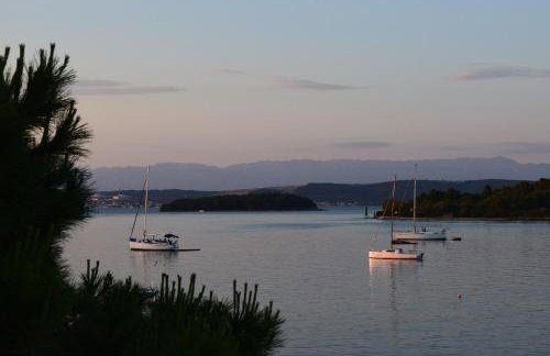 Apartmani Jelenić - Photo 1