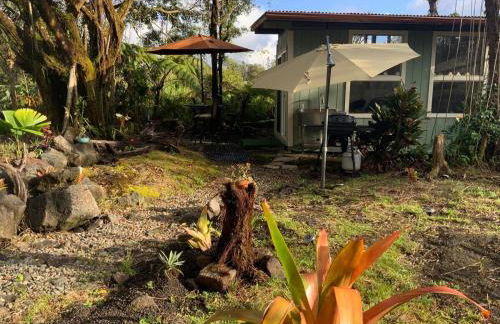 Majestic Banya tree cabin - Foto 18