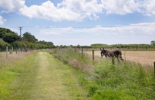 Higher Thorn Barn - Foto 32