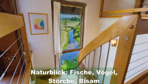 Ferienhaus Schwarzwald bei Straßburg Europapark für 12 Personen auf 160qm - Foto 4