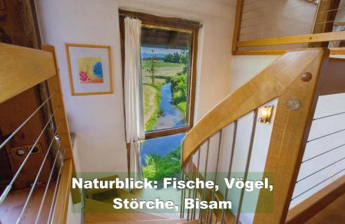 Ferienhaus Schwarzwald bei Straßburg Europapark für 12 Personen auf 160qm - Foto 4