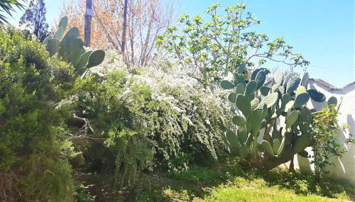 Salento Appartamenti - Foto 5, Garden