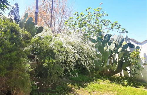 Salento Appartamenti - Foto 5