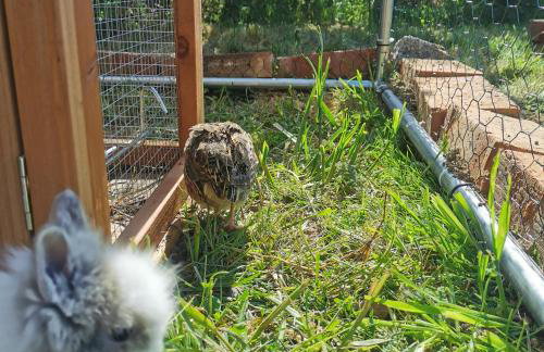 Domek Za Skałą - Foto 33