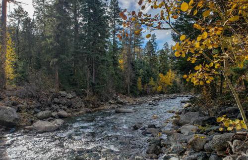 Bayfield Cabin with Wraparound Deck and Fire Pit - Foto 37