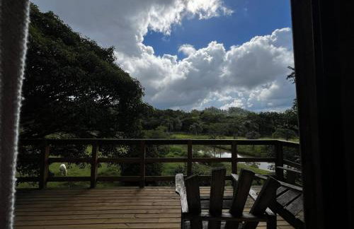 Cabana do Lago- Morro da Borússia - Foto 64