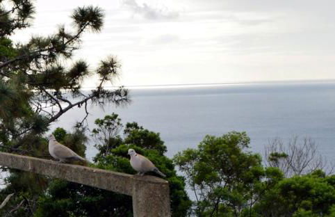 Apartamento Gois - Foto 56