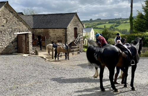 Stockham Farm Dulverton - Foto 38