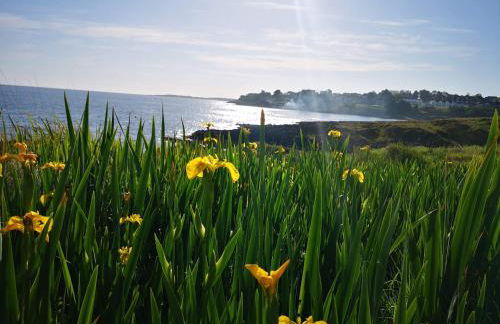 Loughview Cottage - Foto 22