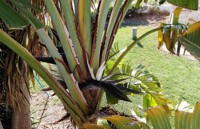 Lovely 7 Bedroom Villa !! - Photo 68