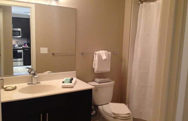 National at Reston Town Center - Photo 8