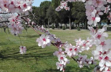Silos Torrenova - Foto 4