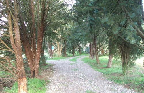 Casetta Francini - Foto 30