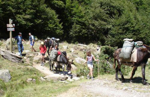 Les FEICHES et MARGUERITES - Foto 16