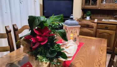 L'Antica Fonte di Moncioveta - Foto 5