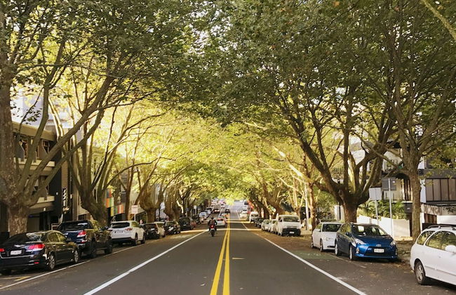 Leafy Street Apartment Central Auckland - Foto 23