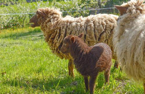 Agriturismo Vezzano - Foto 26