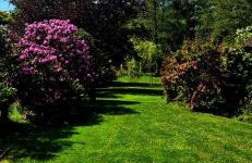 Kauperhaus - Photo 21