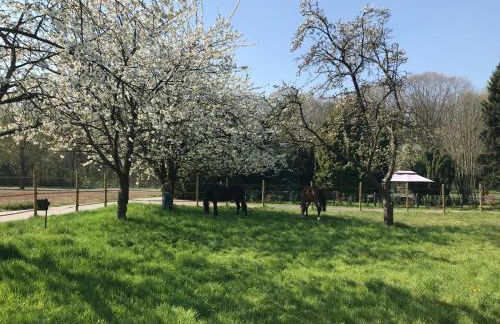 Wohlfühloase - Moderne Ferienwohnung mit großem eingezäuntem Garten in Alleinlage an Feld & Wald, Natur pur trifft auf Komfort, Wellness und gute Erholung - Foto 50