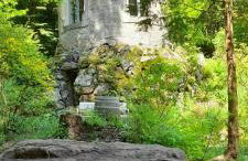 Rapunzel trifft Dornröschen - Foto 19