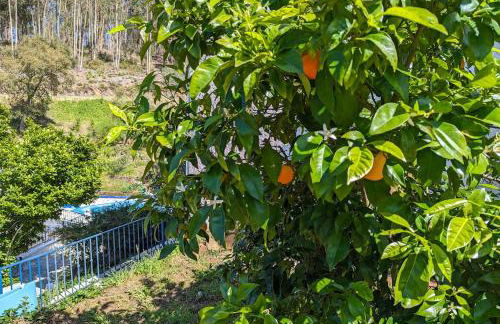 Vila da Fonte - Peaceful 3-bedroom Villa with Private Pool, Central Portugal - Foto 26