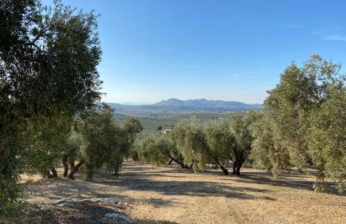 Casa Ventorro - Photo 8