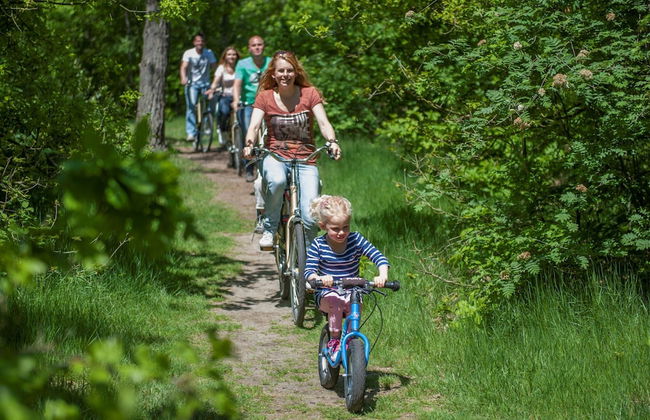 Holiday Home Near De Biesbosch & Breda - Photo 26