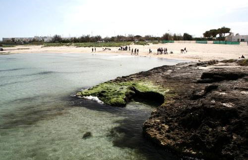 Villa Giulia - Foto 17