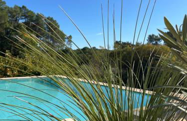 Ô Coeur Des Ocres - Foto 5