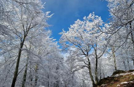 La Cabanya de Can Ganasta - Photo 65