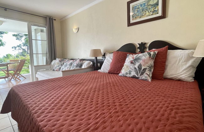 Barbadine - Resorts Flats - Sainte Anne - Photo 14