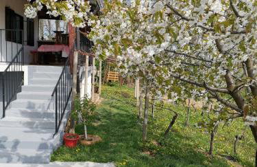 Villa Marijana - Foto 23