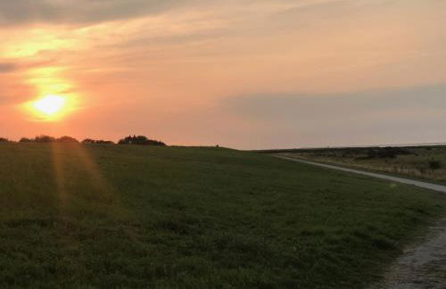 Ferienwohnungen Koch EG adult only - Photo 11