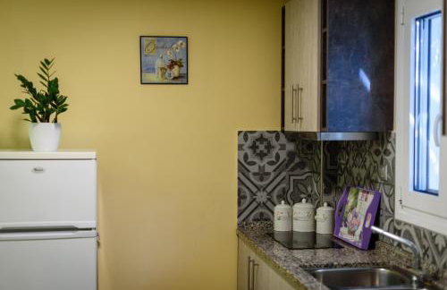 Ionion Beach Apartment Hotel & Spa - Foto 116