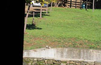 Linhares - Country House Turismo, Natureza e Aventura - Foto 43