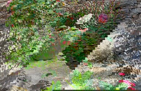 Gîte de La Pyranvôle - Foto 30