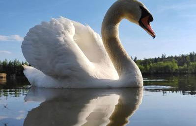 Le Balcon du Laudon Au cœur de St Jorioz spacieux appartement avec terrasse et vue montagne - Photo 13