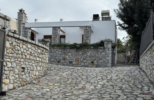 Jassemi Studio - Foto 20