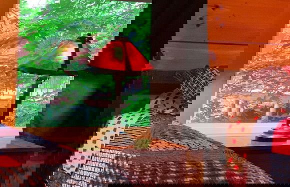 Elk Springs Resort - Foto 48