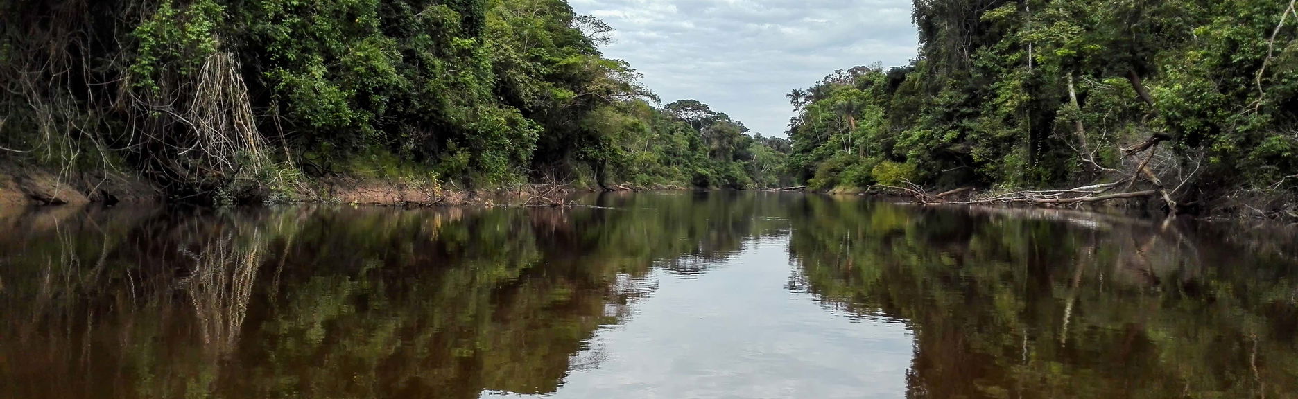 Escursione a Pacaya Samiria
