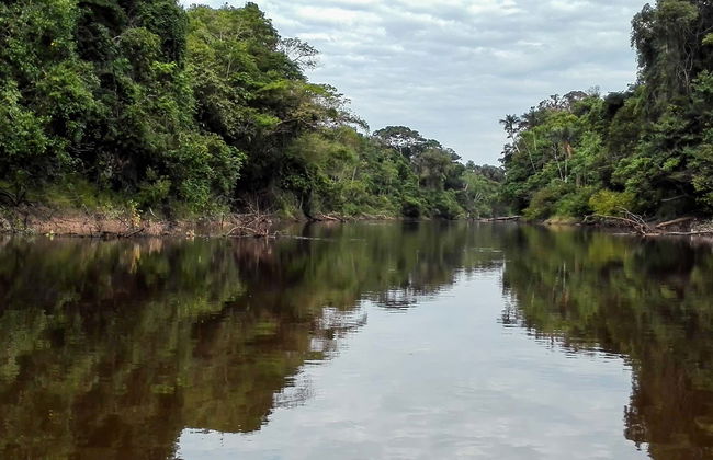 Escursione a Pacaya Samiria - Foto 1