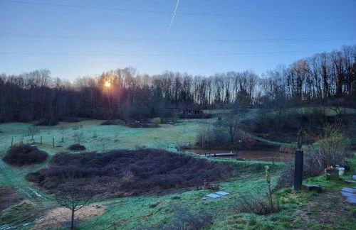 Coeurvert Calme en clairière - Ruhe in der Waldlichtung - Forest clearing stillness - Foto 80