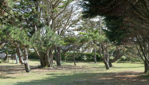 Holiday Home 8883 in Strandnähe by Interhome - Foto 5