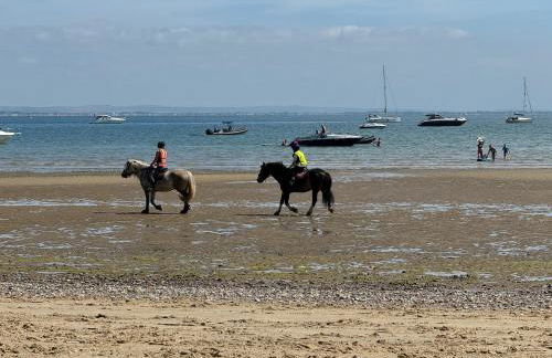 Seaview House, lovely ground floor flat with garden, minutes walk to beach - Photo 12