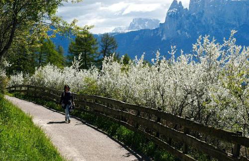 Appartments Neuhof - Photo 63