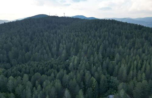 Villa Alba - Foto 10