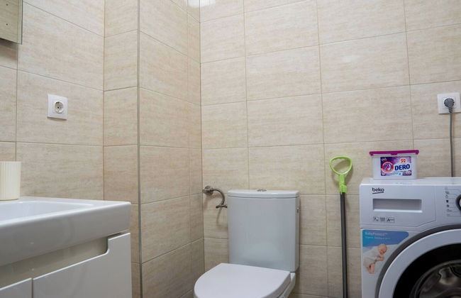 Apartment La Ciobanu - Foto 9