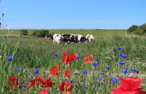 Ferienhaus Zur Alten Post 1 - Photo 13
