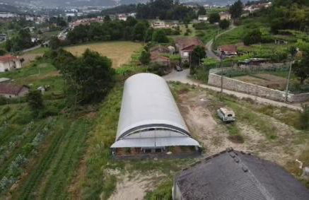 Quinta do Pinheiro - Foto 51