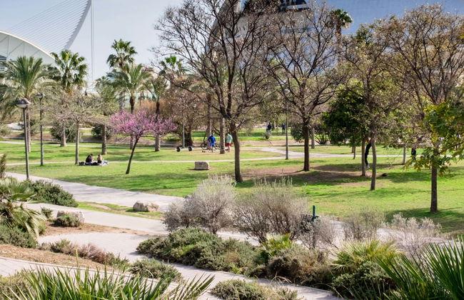 Tour en bicicleta por el Jardín del Turia - Foto 1